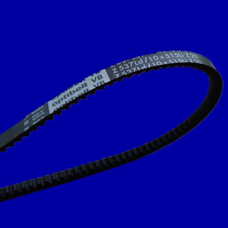 Z20.jpg